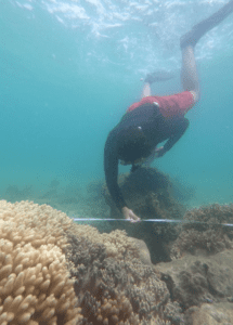 menghitung karang