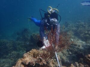 Saya saat mencatat kondisi terumbu karang