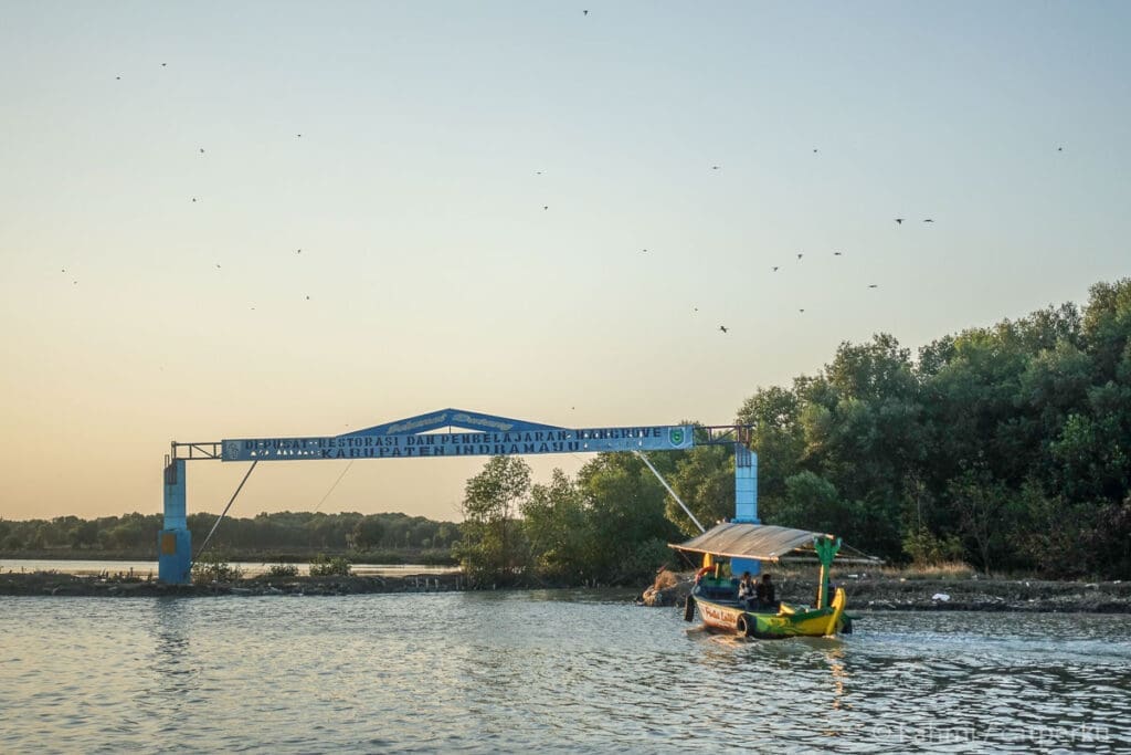 Hutan Mangrove Sebagai Tempat Wisata