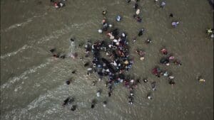 Warga berusaha menyelamatkan paus yang terdampar