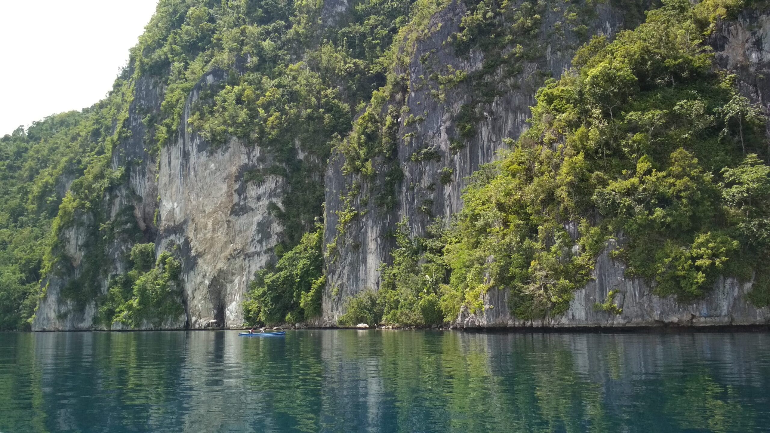 Tebing Karst Teluk Saleman (Dok. Pribadi)