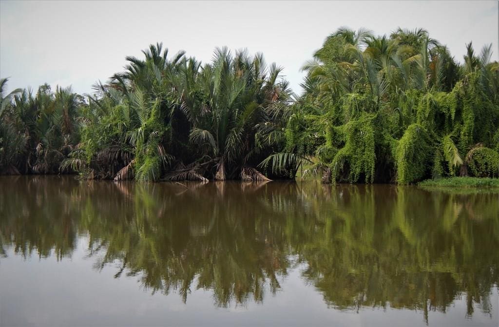 lahan basah Aceh