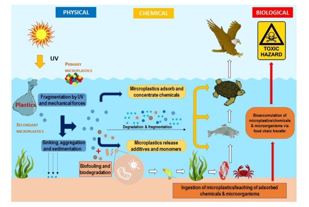 mikroplastik