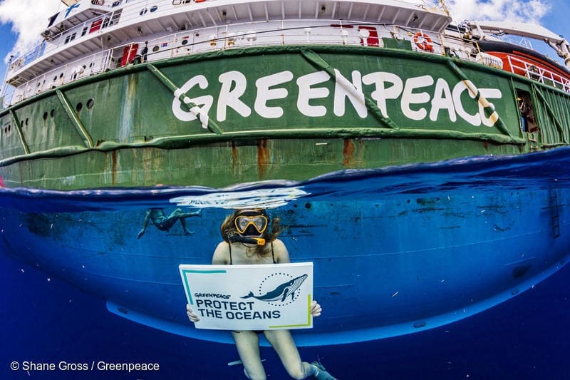 ekspedisi greenpeace di laut lepas