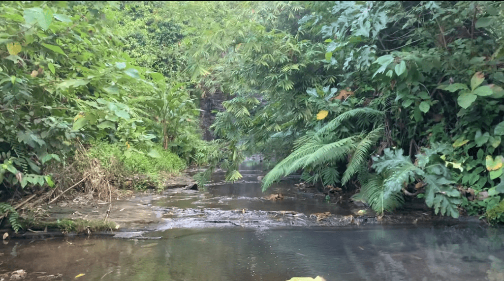 Menuju Air Terjun Grojogan ©Syahputrie Ramadhanie