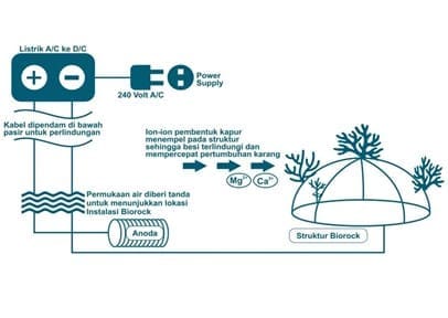 Sumber Biorock Indonesia