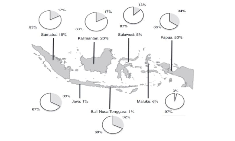 Distribusi hutan mangrove dan Kawasan lindung hutan mangrove di Indonesia. Nilai persentasi menunjukkan total luasan Kawasan konservasi hutan mangrove regional dari total seluruh luasan hutan mangrove di Indonesia. Grafik donat atau pie chart mengindikasikan Kawasan konservasi hutan mangrove (abu-abu) dan bukan Kawasan konservasi hutan mangrove (putih) [8].