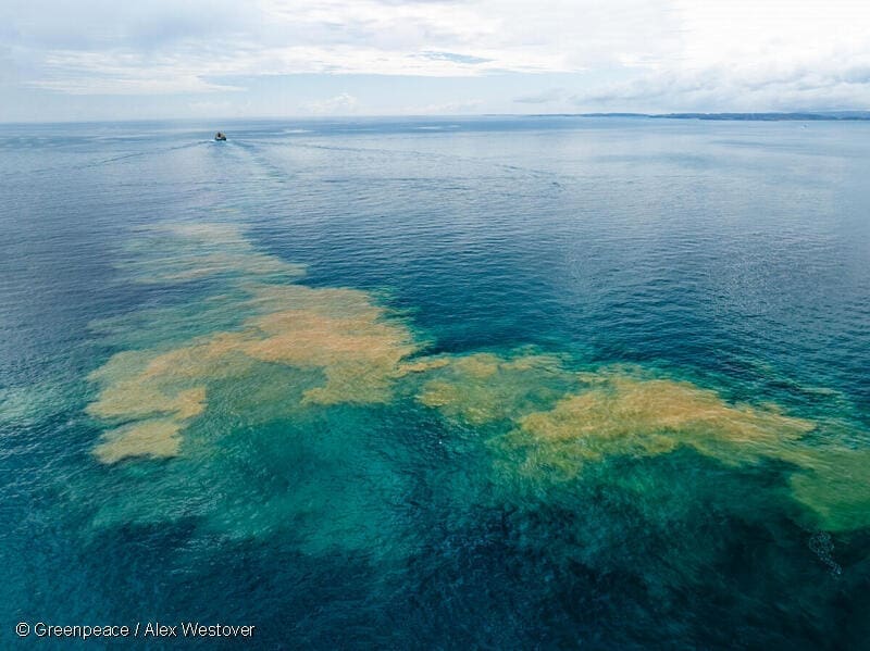 Bagaimana Kebocoran Minyak Bumi dapat Mencemari Laut dan Merugikan