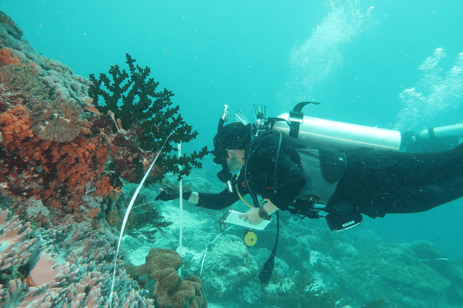 Kondisi ekosistem terumbu karang