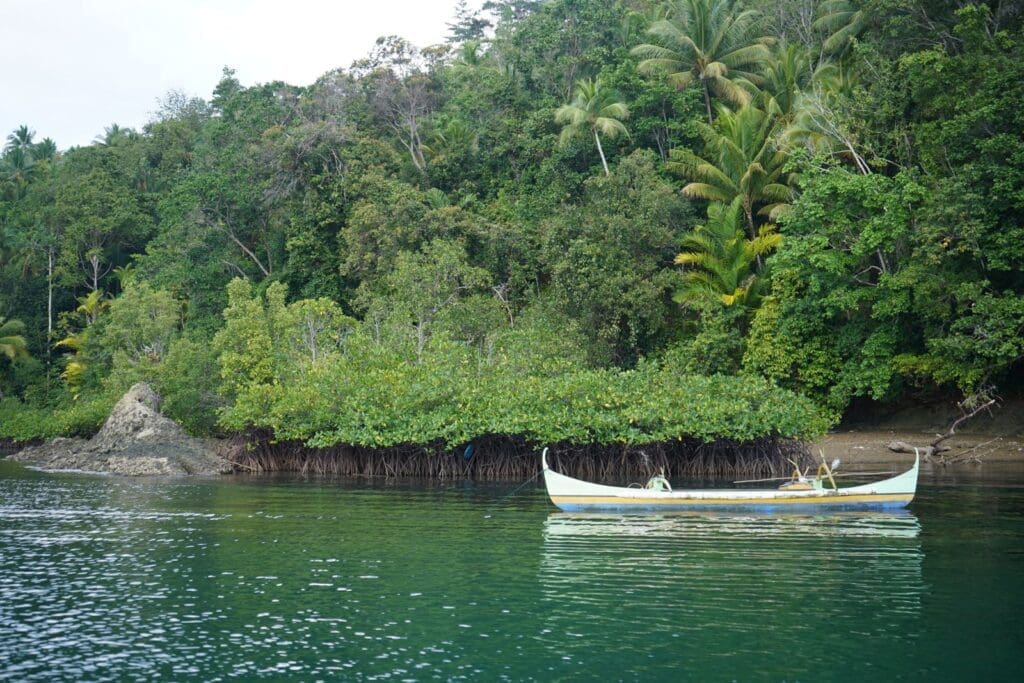 Mangrove dan sampan teluk Binebas