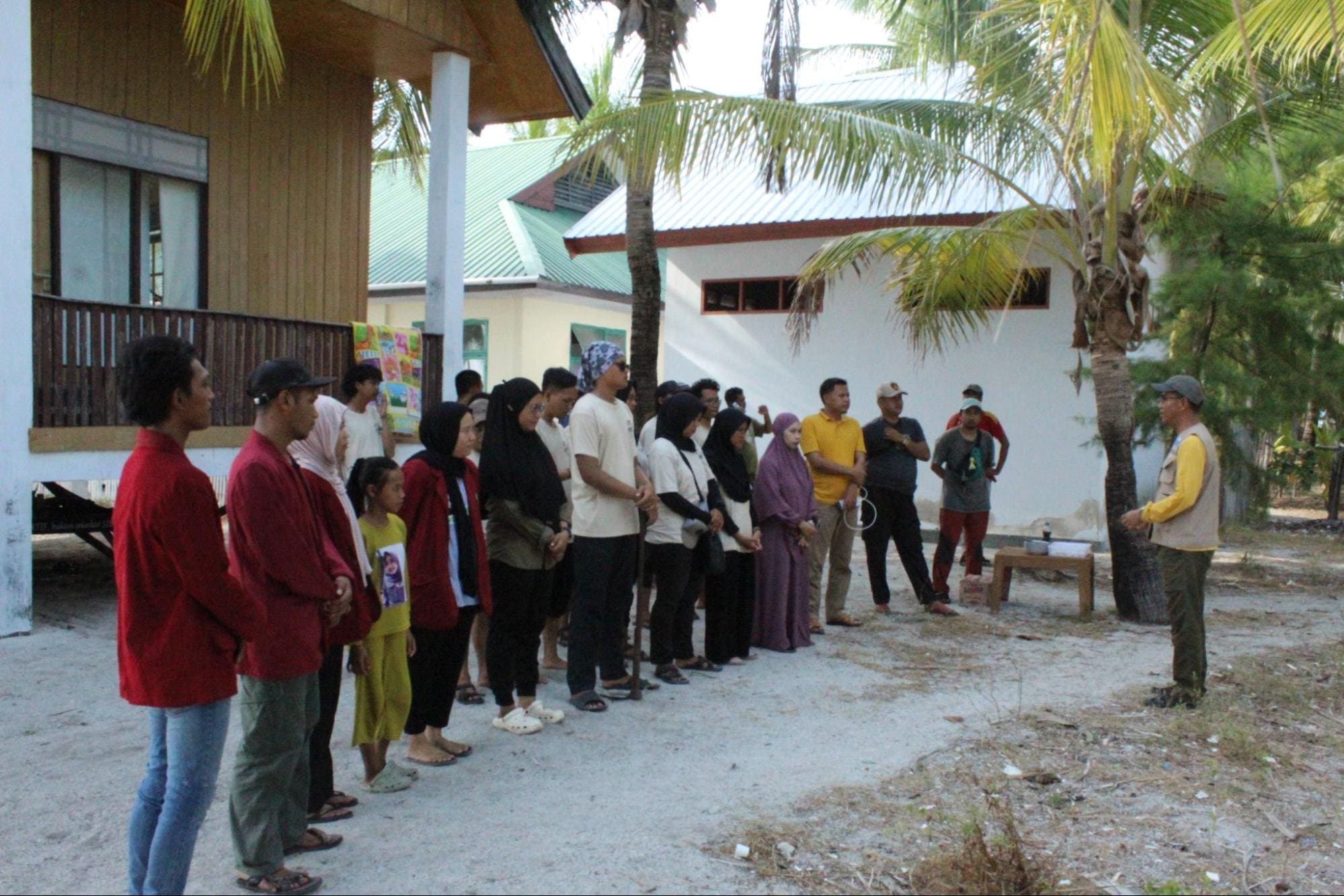 penanaman cemara laut mdc undip