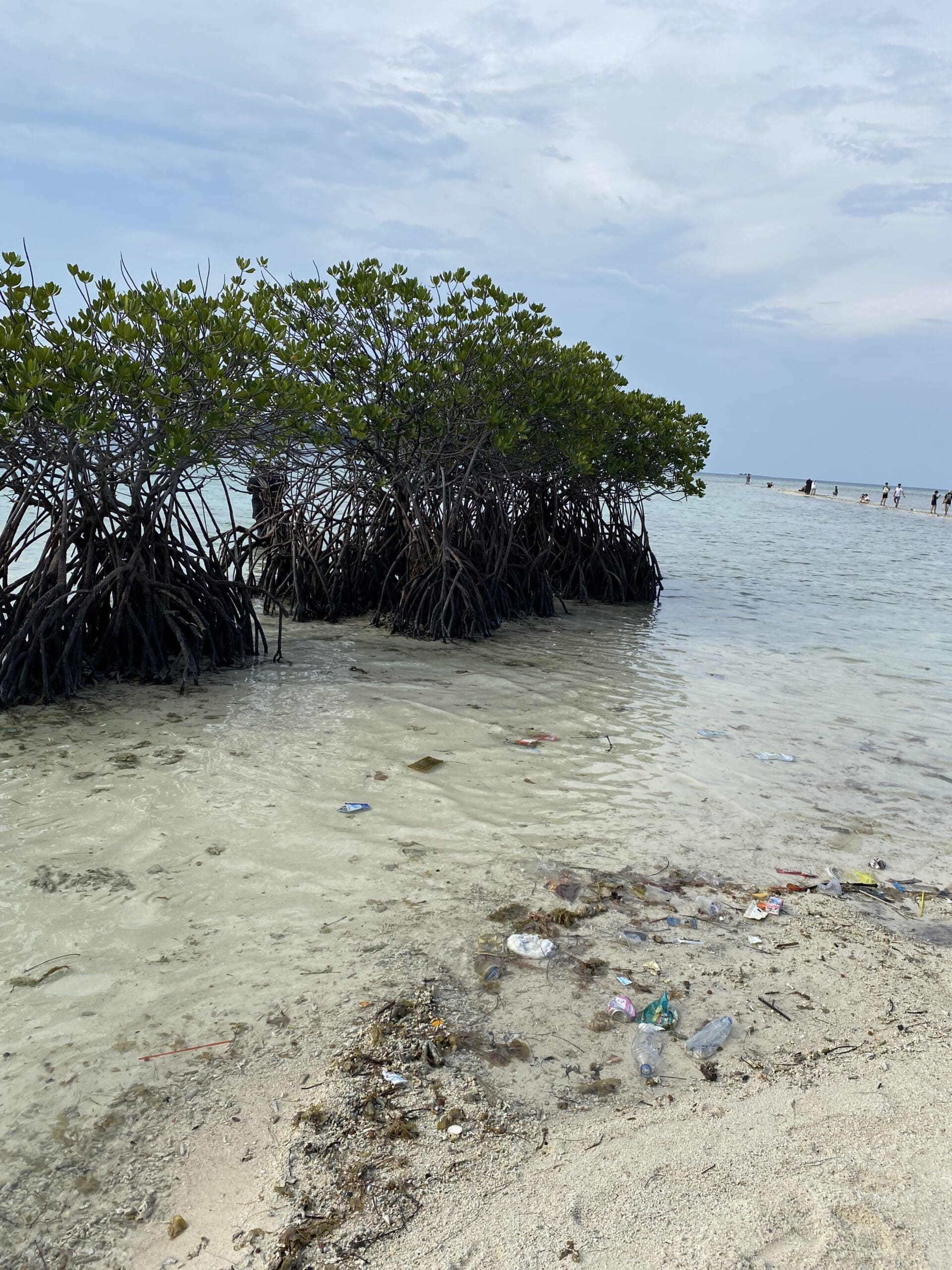Sampah organik dan non organik yang tersebar di sekitar bibir pantai di Pulau Dolphin