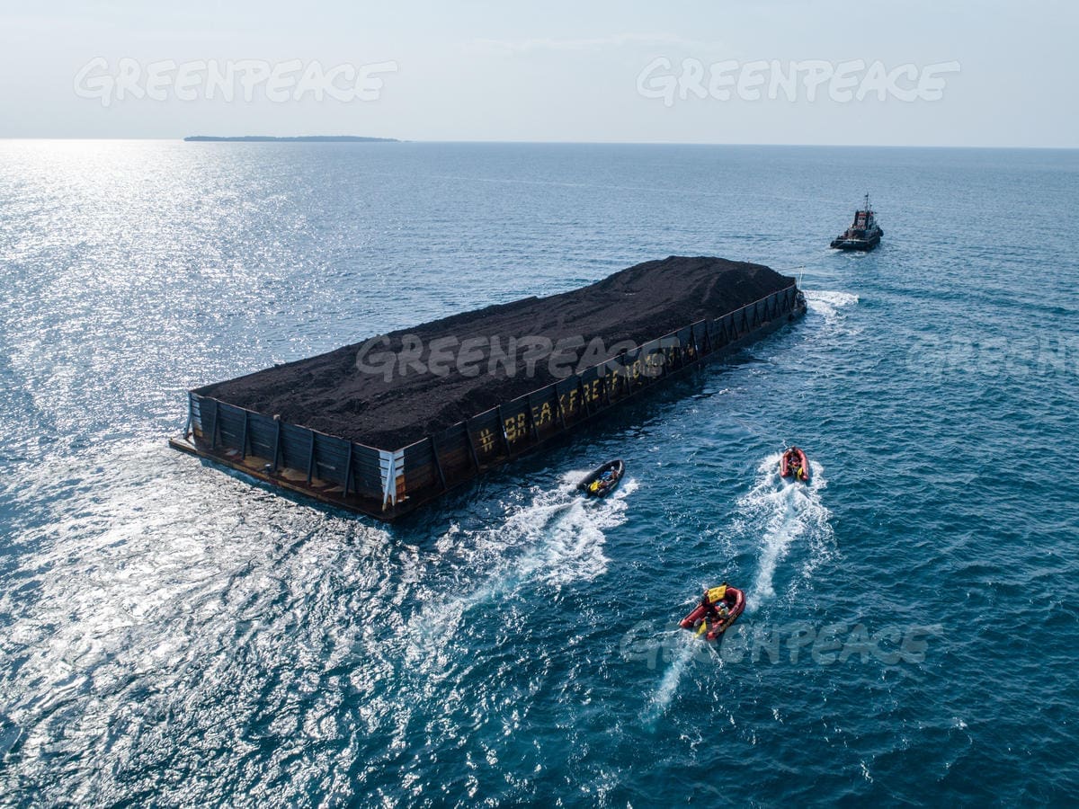 Activists from the Greenpeace ship Rainbow Warrior intercept barges carrying coal from mines in Kalimantan to power plants in Java, Indonesia.  The barges are targeted as they pass through the stunning Karimunjawa archipelago, in protest against the damage being done to coral reefs in the area.
Since January 2018, there have been three incidents where coal barges have damaged the reefs. In early 2017, hundreds of square meters of coral were destroyed by five barges taking shelter during storms (Nugroho Adi Putra/Greenpeace).