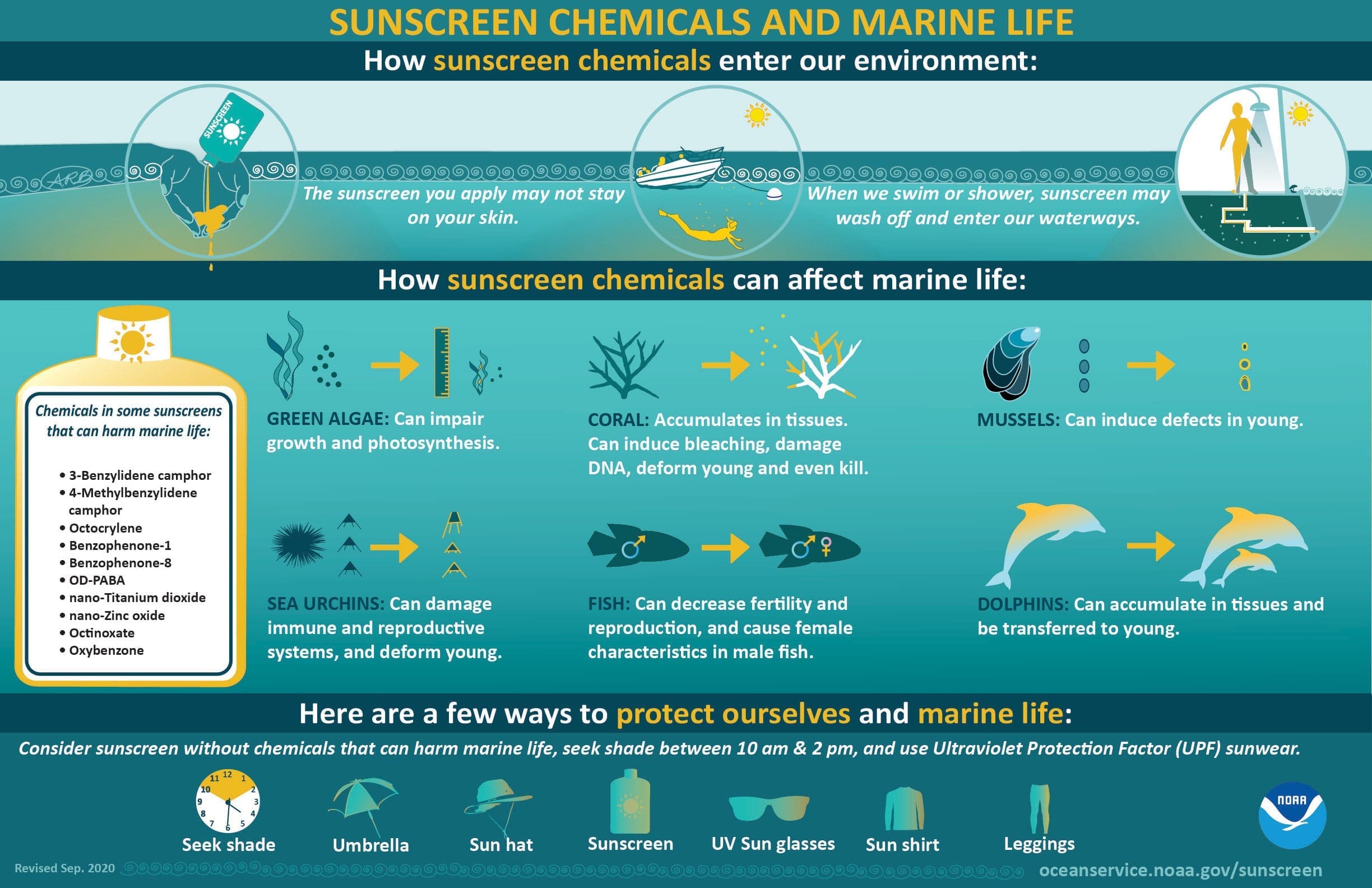 (Sumber : National Ocean and Atmospheric Administration (NOAA), diupload pada tanggal 17 Agustus 2022)