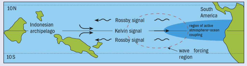 Diagram Mekanisme Equatorial Kelvin Waves di Wilayah Samudra Pasifik