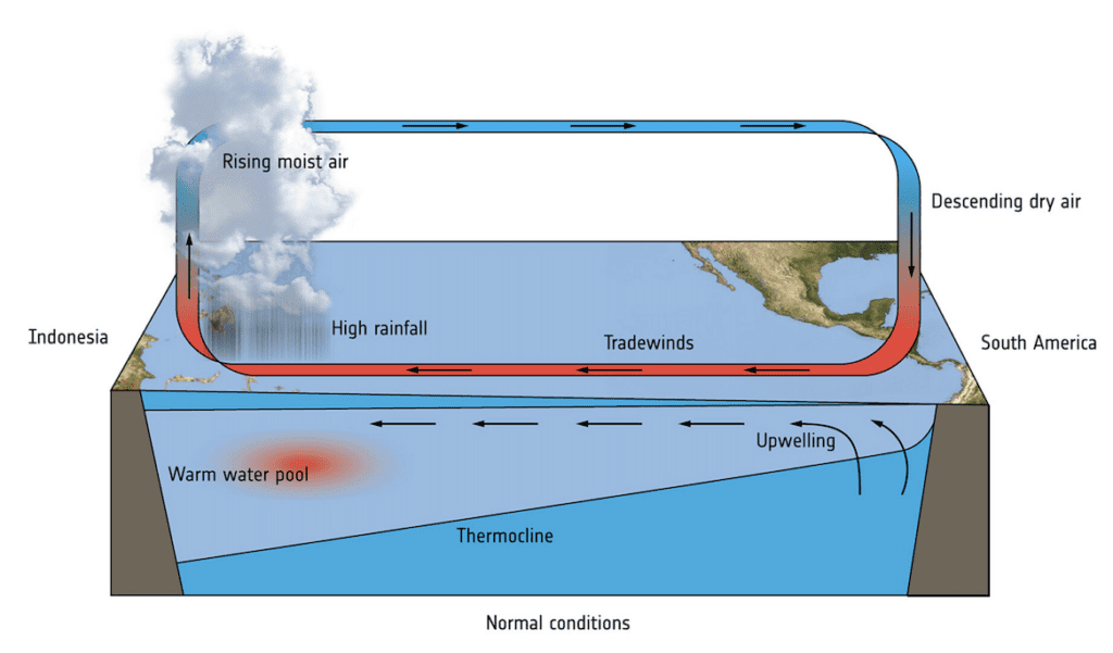 Kondisi Normal pada Fenomena ENSO (El Niño Southern Oscilation)